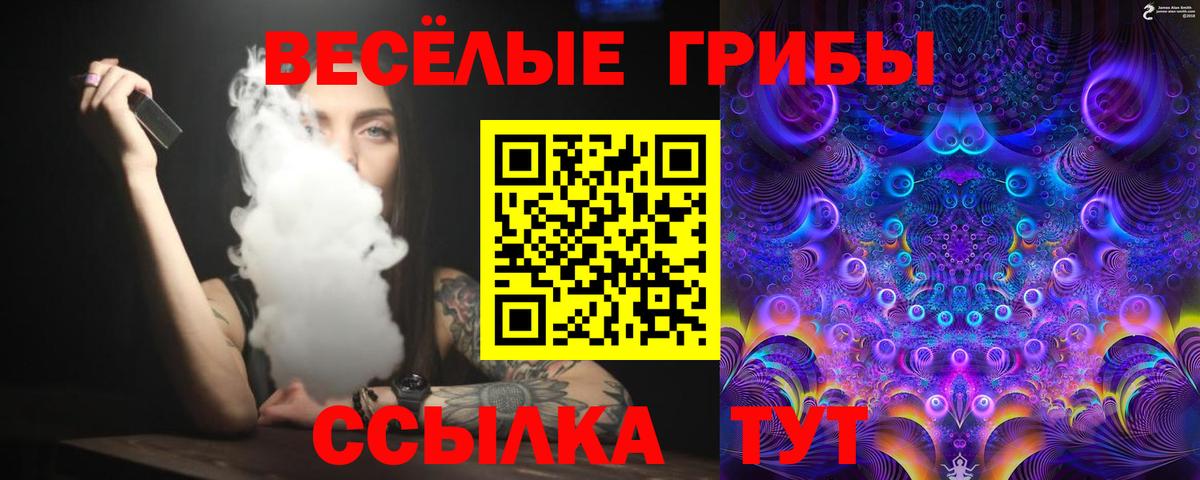 Псилоцибиновые грибы GOLDEN TEACHER Семёнов