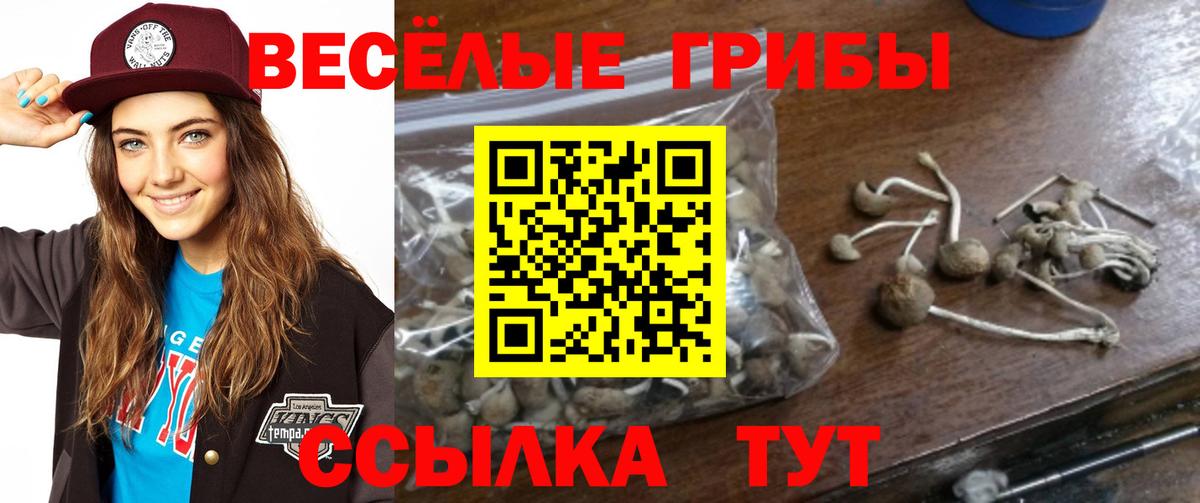 Галлюциногенные грибы прущие грибы  Вход с VPN  Семёнов 